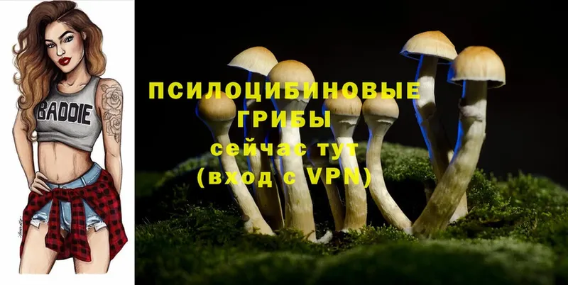 Галлюциногенные грибы MAGIC MUSHROOMS  блэк спрут рабочий сайт  Кимры 